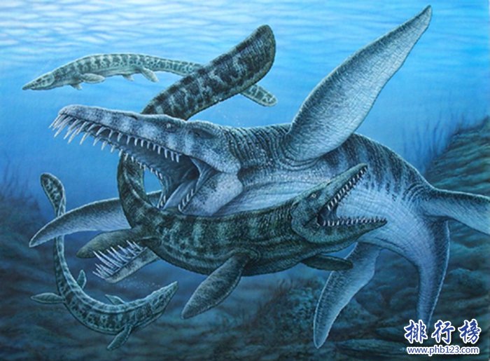 9,liopleurodon