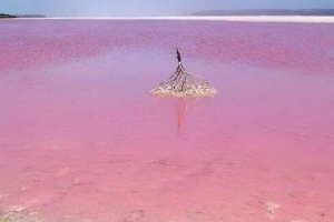 盘点世界上最美的海滩 粉色海滩带来梦幻味道