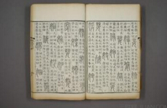 中国最早的字典，汉朝许慎的《说文解字》（现已失传）