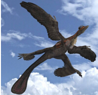 世界上翅膀最多的鸟，四只翅膀的四翼鸟（外形如同恐龙）