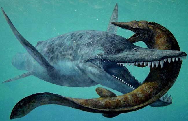 已灭绝的十大巨怪:咬合力媲美霸王龙的鱼(9米长4吨重)