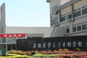 2014合肥专科学校排名