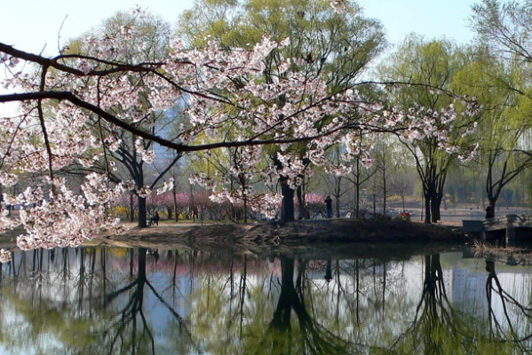 北京春天值得去的公园排行榜