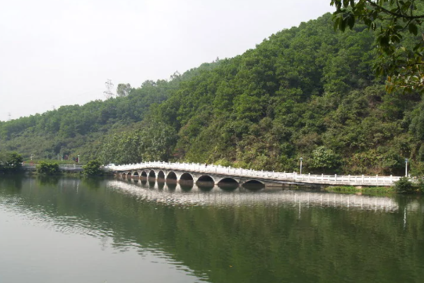 深圳十大最美公园排行榜