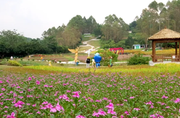 九龙山花仙谷