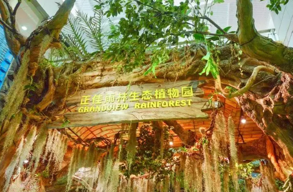 正佳雨林生态植物园