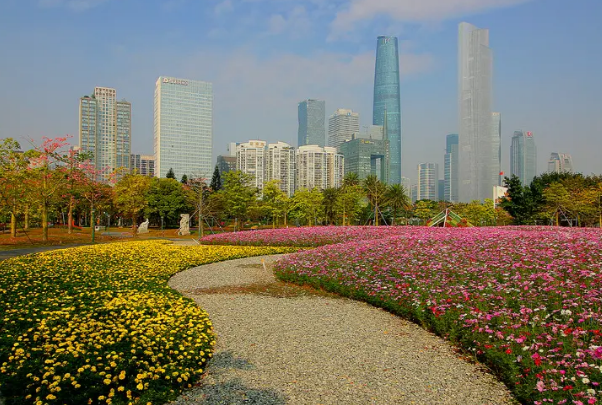 二沙岛旅游景点图片