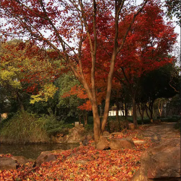 上海五大古老园林排行榜