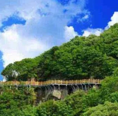 九龙山国家森林公园