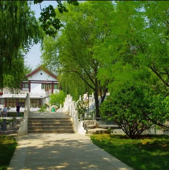 天津最漂亮的免费公园排行榜