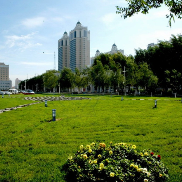 哈尔滨排名前十的大学