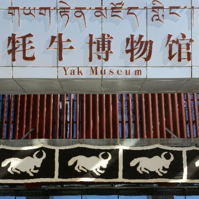 西藏耗牛博物馆