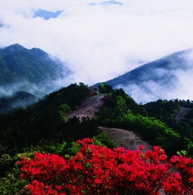 乌岩岭国家自然保护区