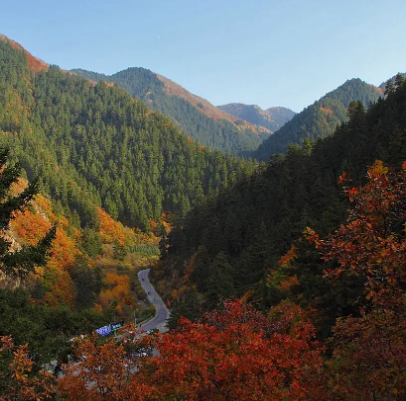 兴隆山自然保护区
