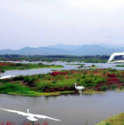 汶河國家濕地公園