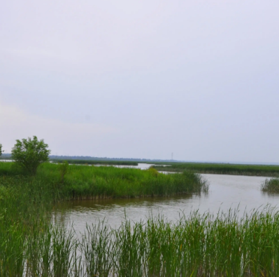 桑干河国家湿地公园