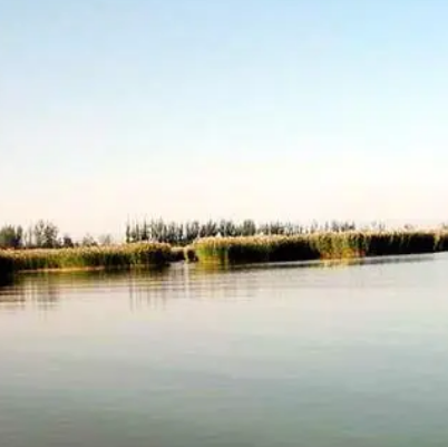 中营堡湖
