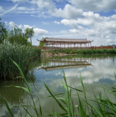 宁夏固原清水河国家湿地公园