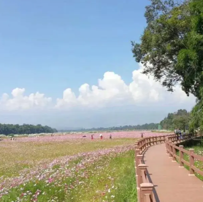 盈江国家湿地公园