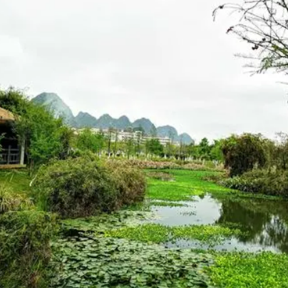 靖西龙潭国家湿地公园