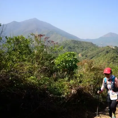 香港四方山