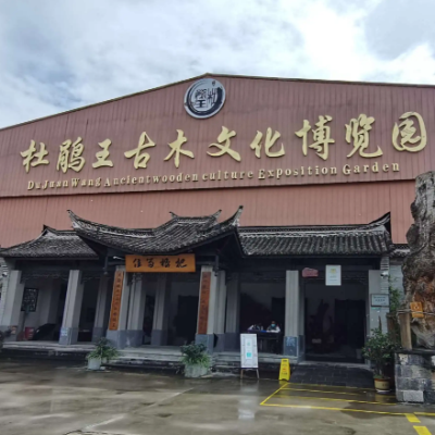 腾冲杜鹃王珍奇古木文化博览园
