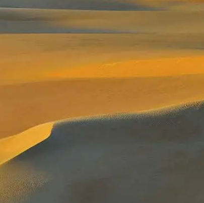 大沙沙漠