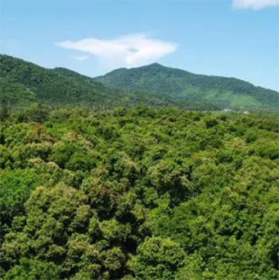 海南热带雨林国家公园