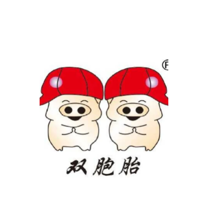 双胞胎股份有限公司