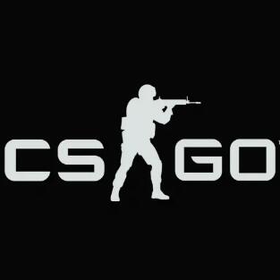 CS：GO