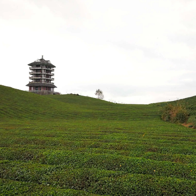 湄潭茶海生态园景区