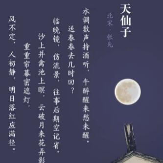 天仙子·水調(diào)數(shù)聲持酒聽(tīng)