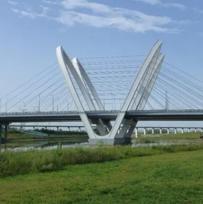 咸陽富裕路灃河大橋