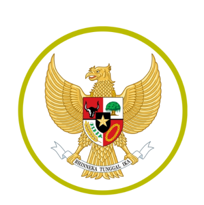 印度尼西亚国家男子足球队