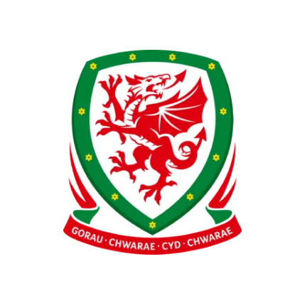 威尔士国家男子足球队