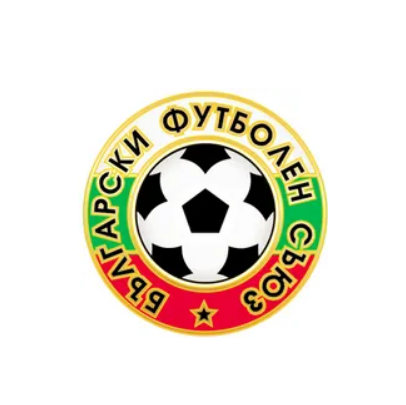 保加利亚国家男子足球队