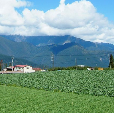 福寿山农场