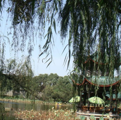 新都桂湖公园