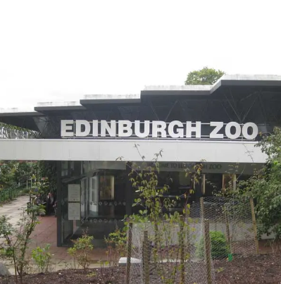 爱丁堡动物园