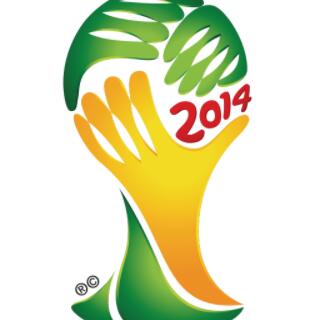 2014年世界杯亚军：阿根廷