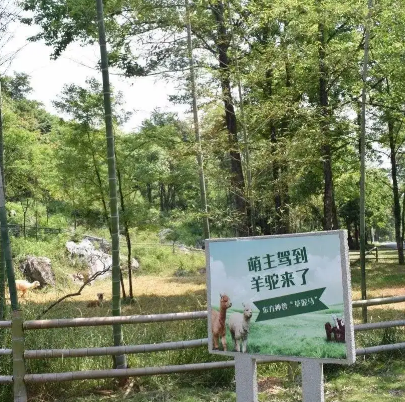 诸仙洞野生动物园