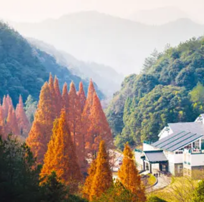 开化古田山风景旅游区