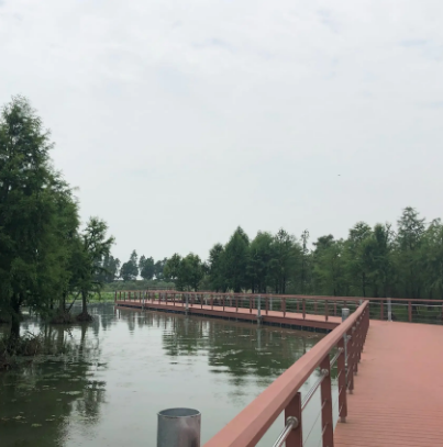 贡湖湾湿地公园