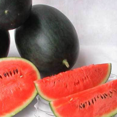 黑美人瓜