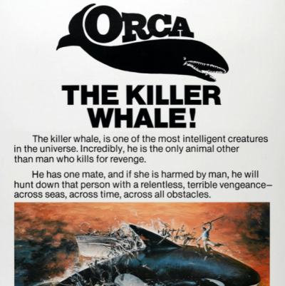 杀人鲸