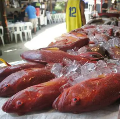 菲律宾D‘Talipapa海鲜市场