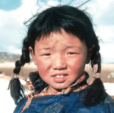 蒙古草原，天气晴