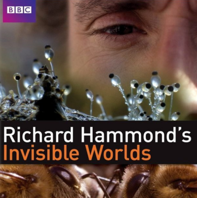 看不见的世界（纪录片）
