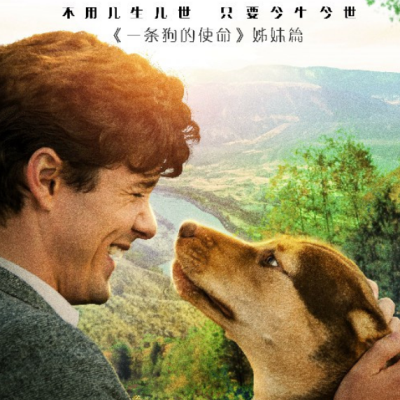 一条狗的回家路