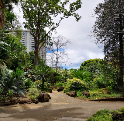 馬來西亞大學(xué)植物園